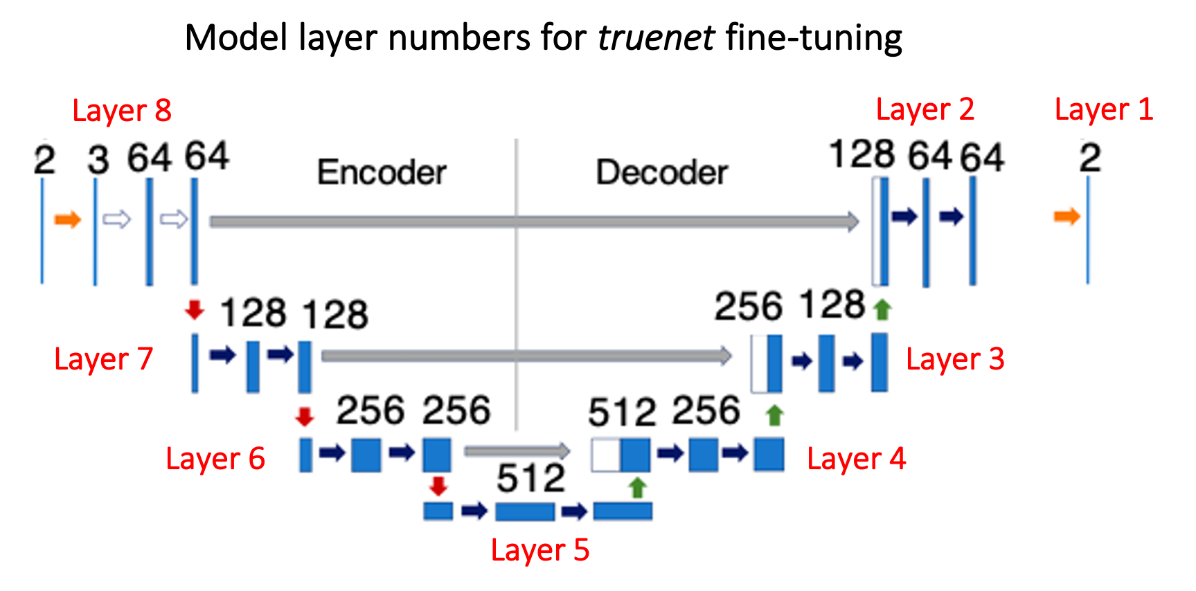 Layers for fine-tuning truenet model.
