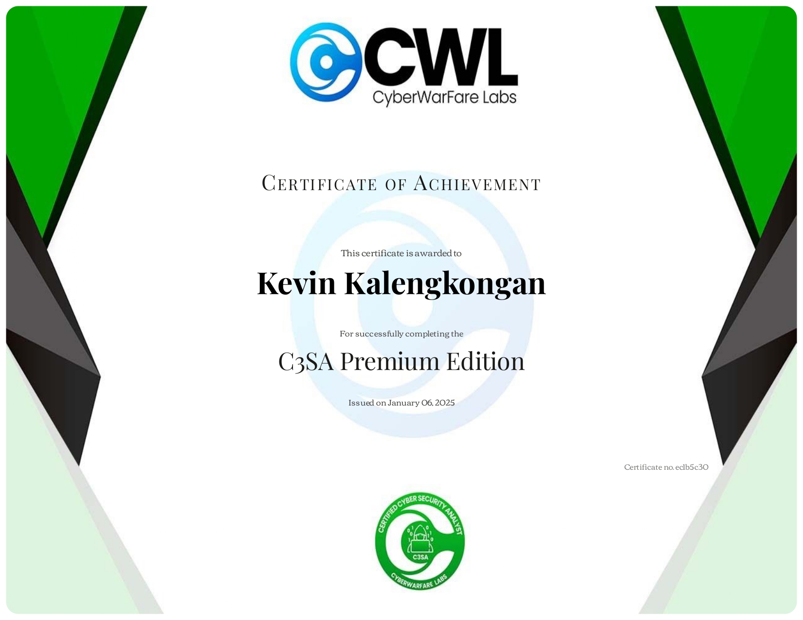 Certified Cyber Security Analyst (C3SA)