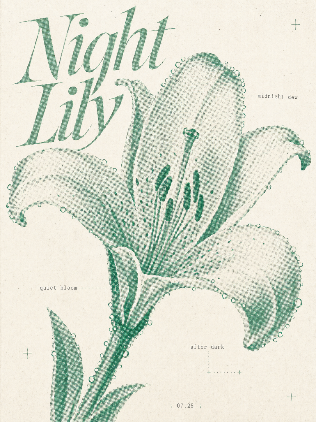 Mint Night Lily