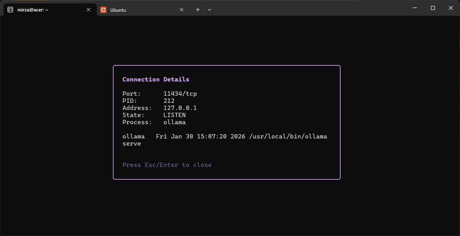 v9mirza/LazyPorts cover