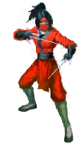 red_epic_ninja