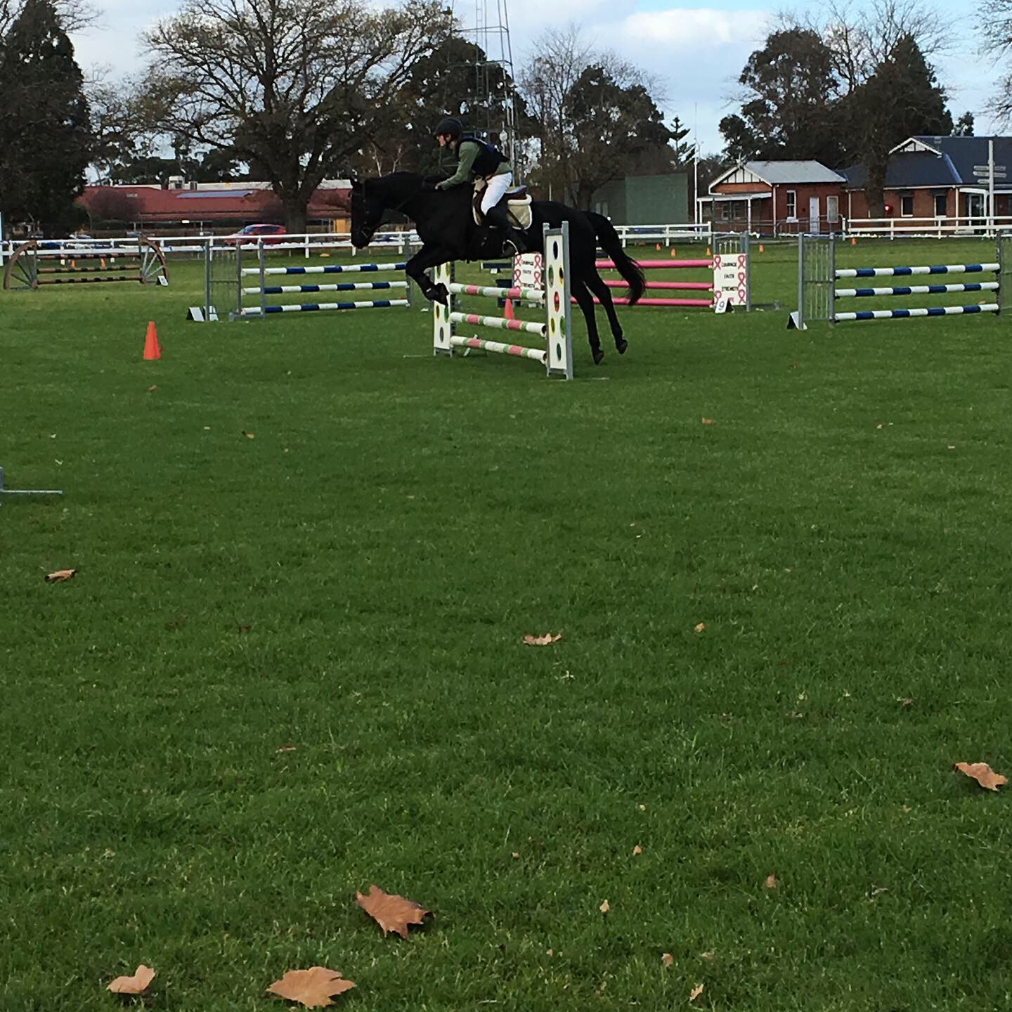 Show Jumping