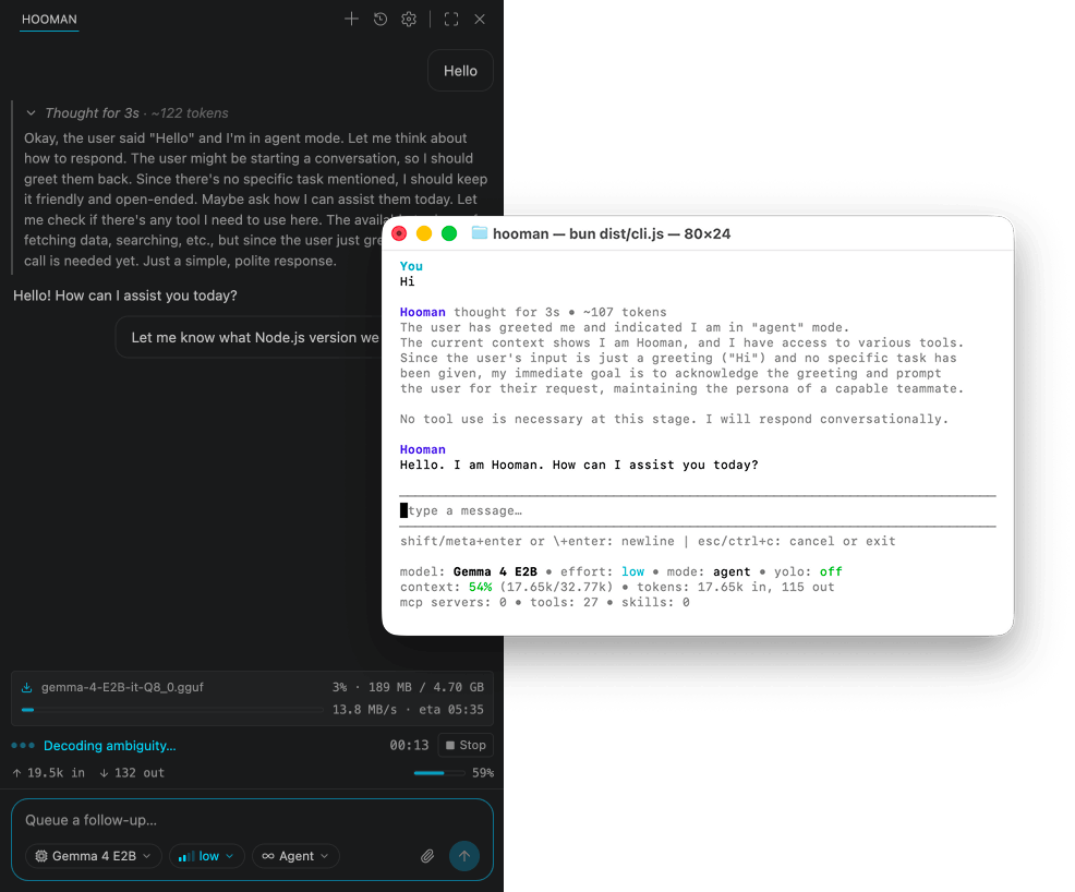 Hooman chat panel in VS Code