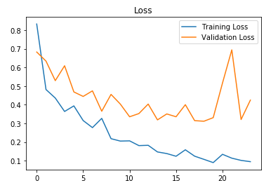 Loss plot