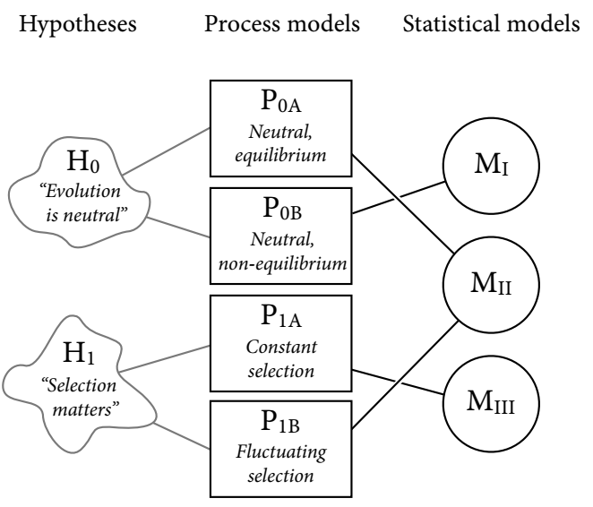 hypothesis_process_model