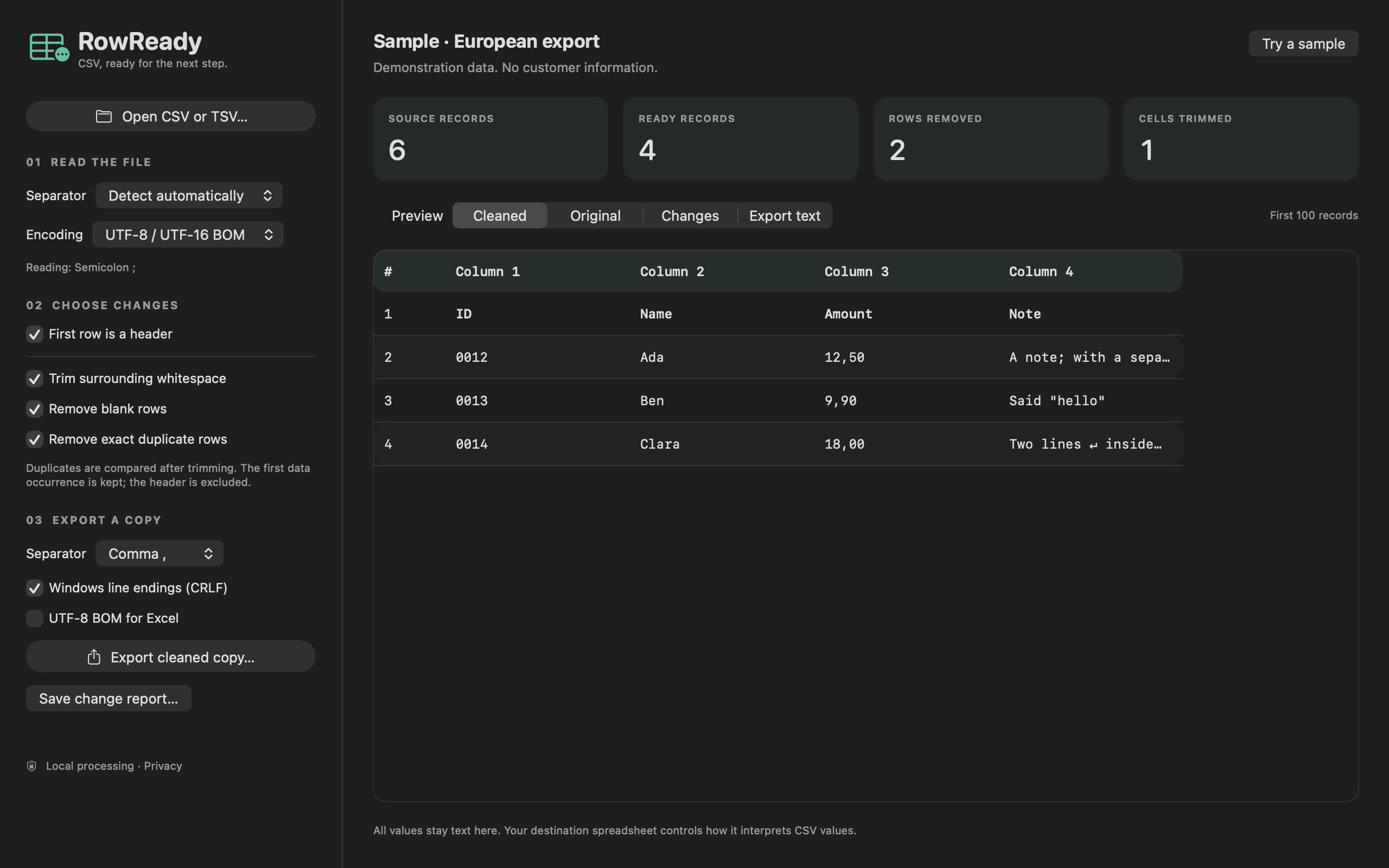 RowReady showing a cleaned demonstration CSV