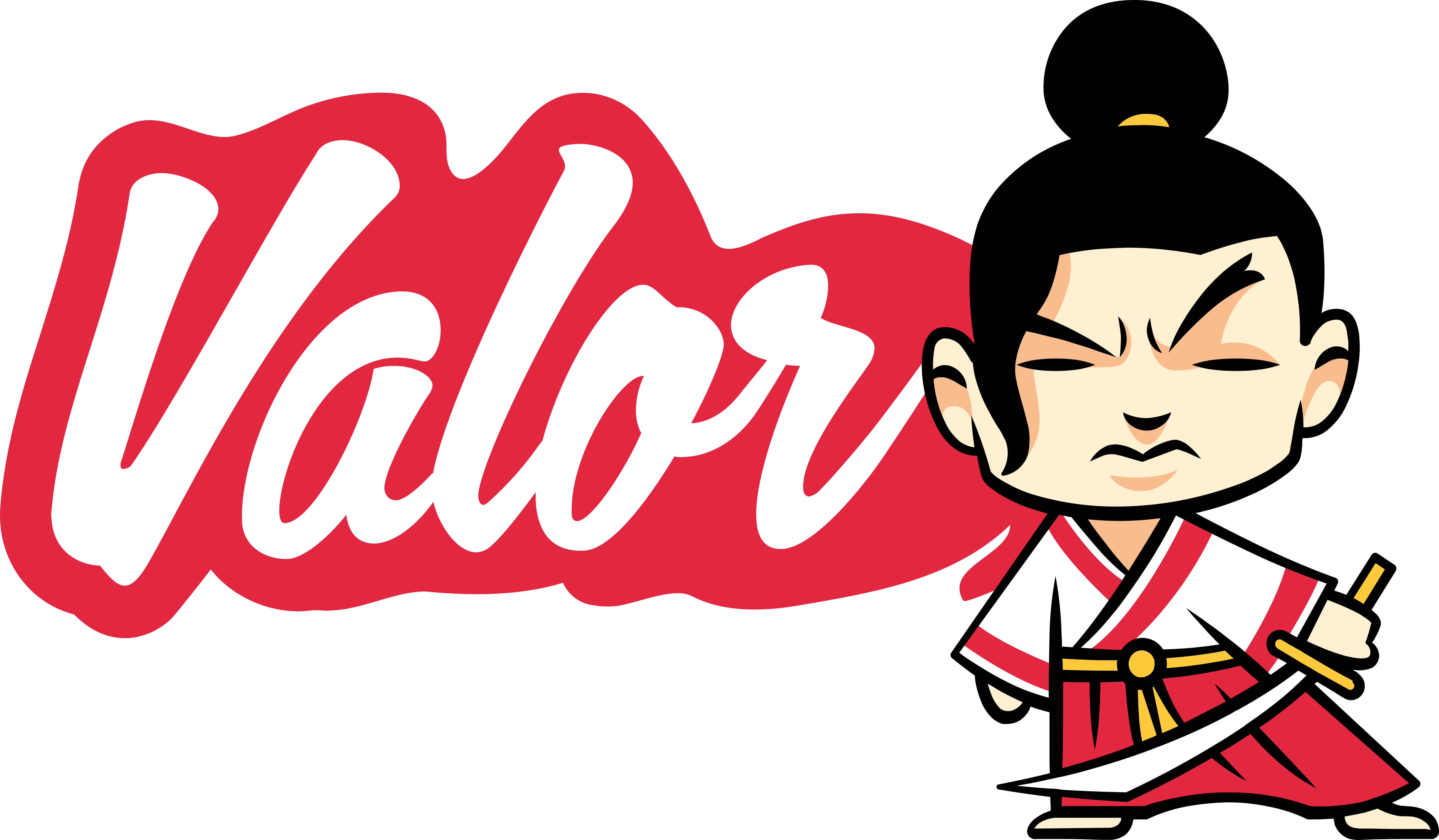 Valor Software Logo Light on Dark