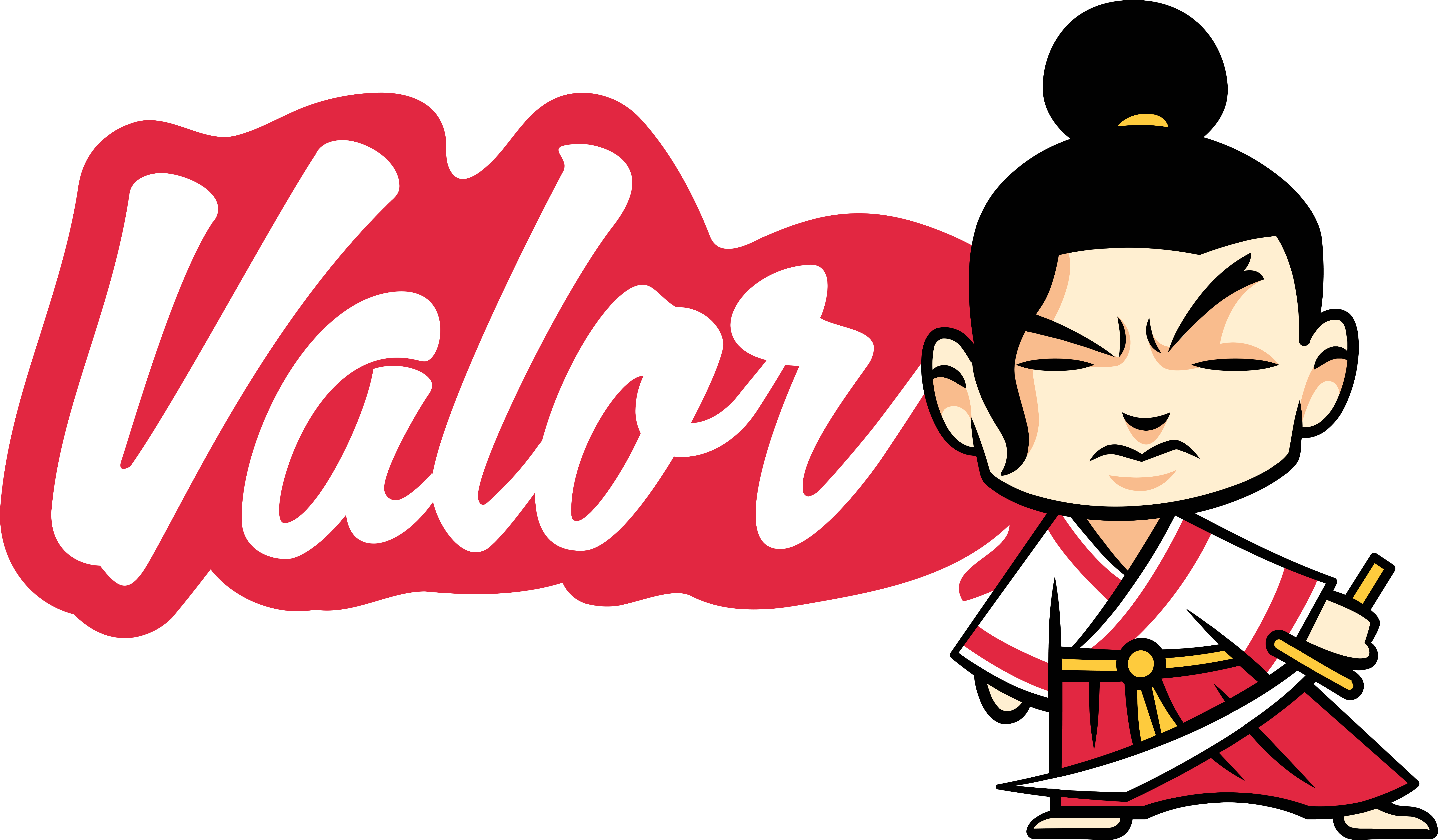  Valor Software Logo Light on Dark