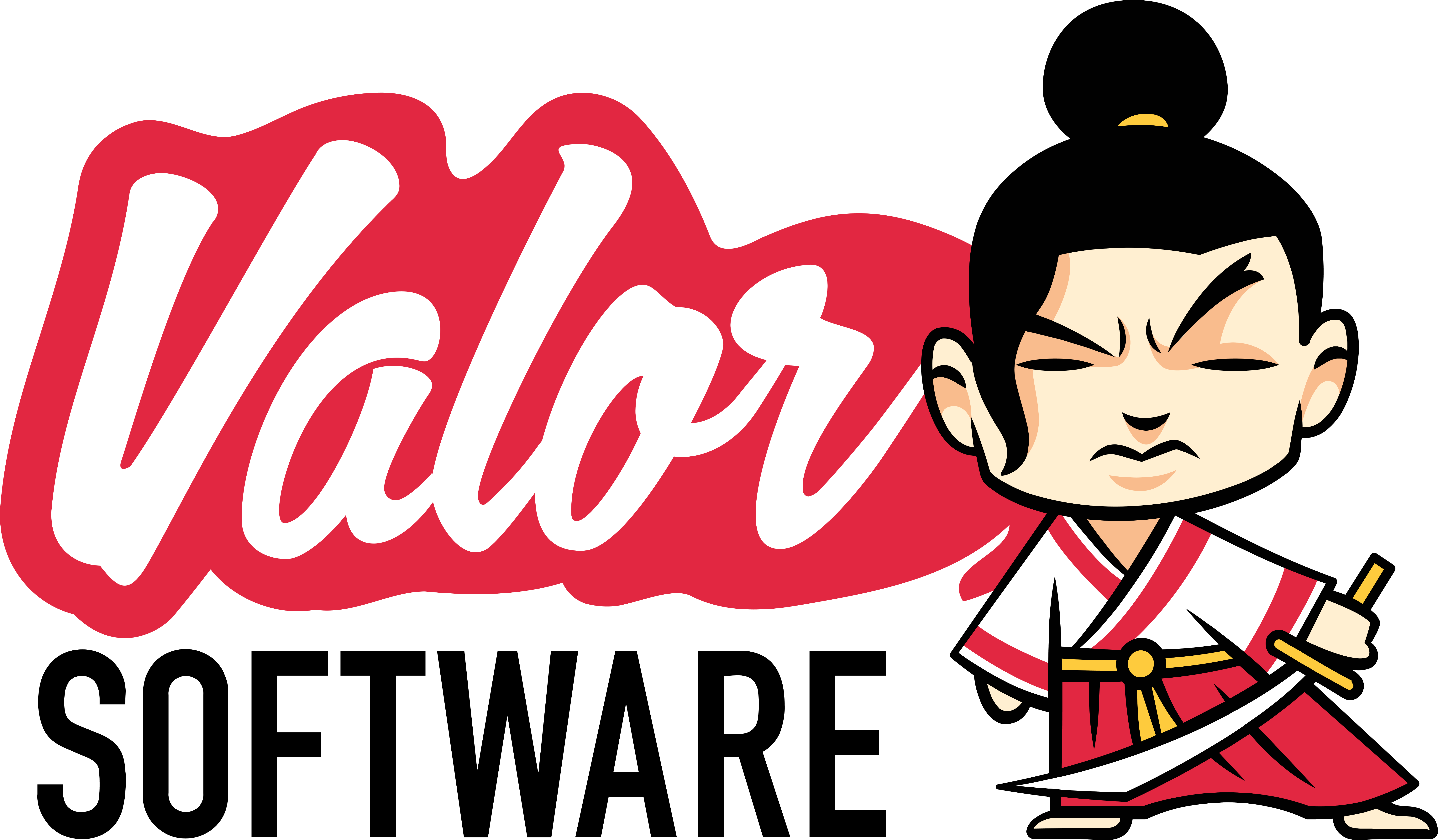 Valor Software