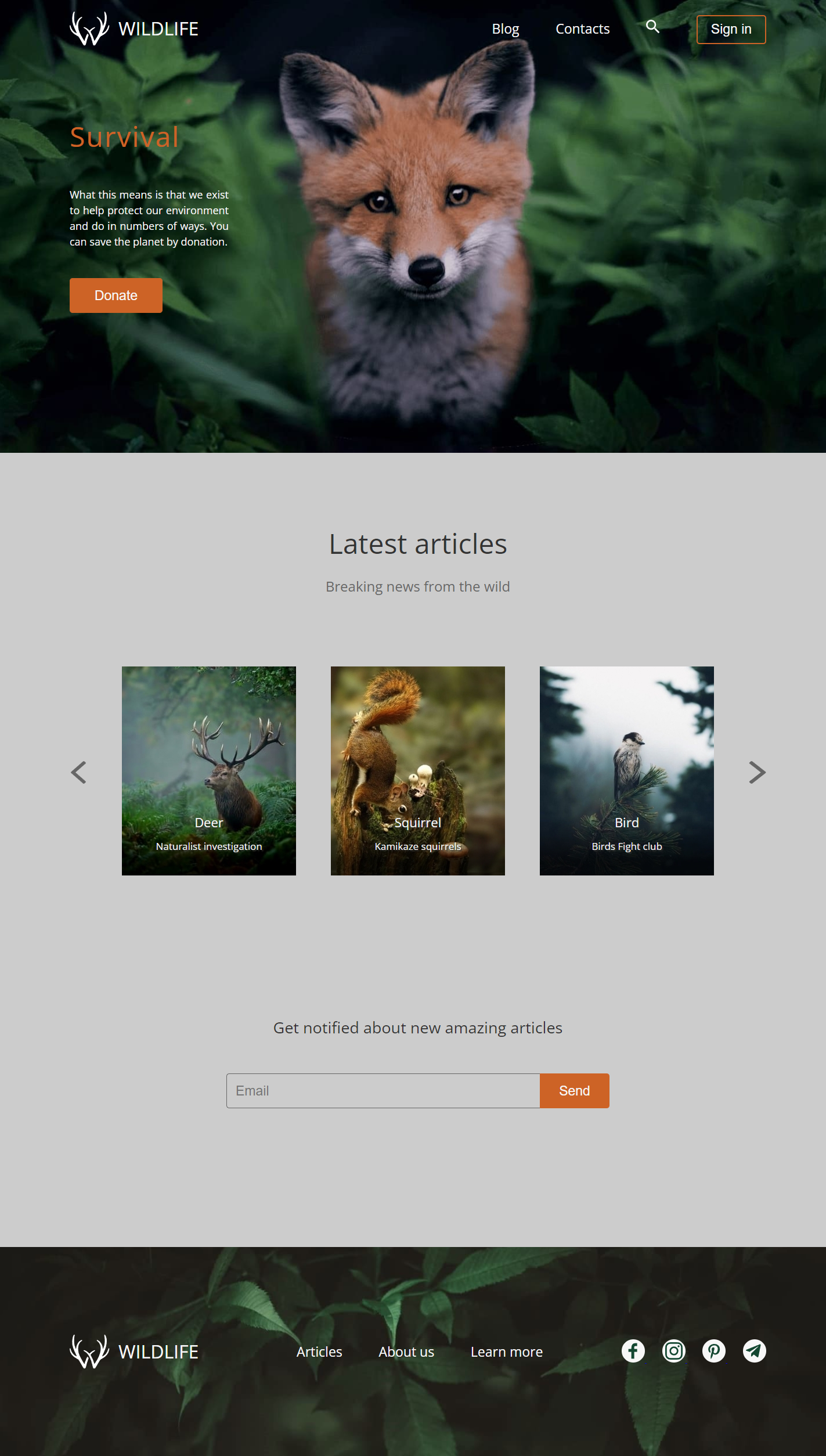 GitHub - valsover/wildlife: Wild animals donation website