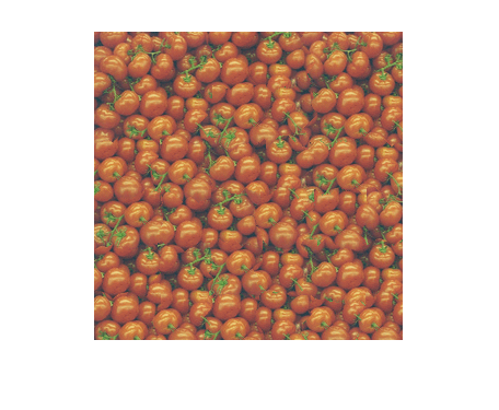 tomatoes.png