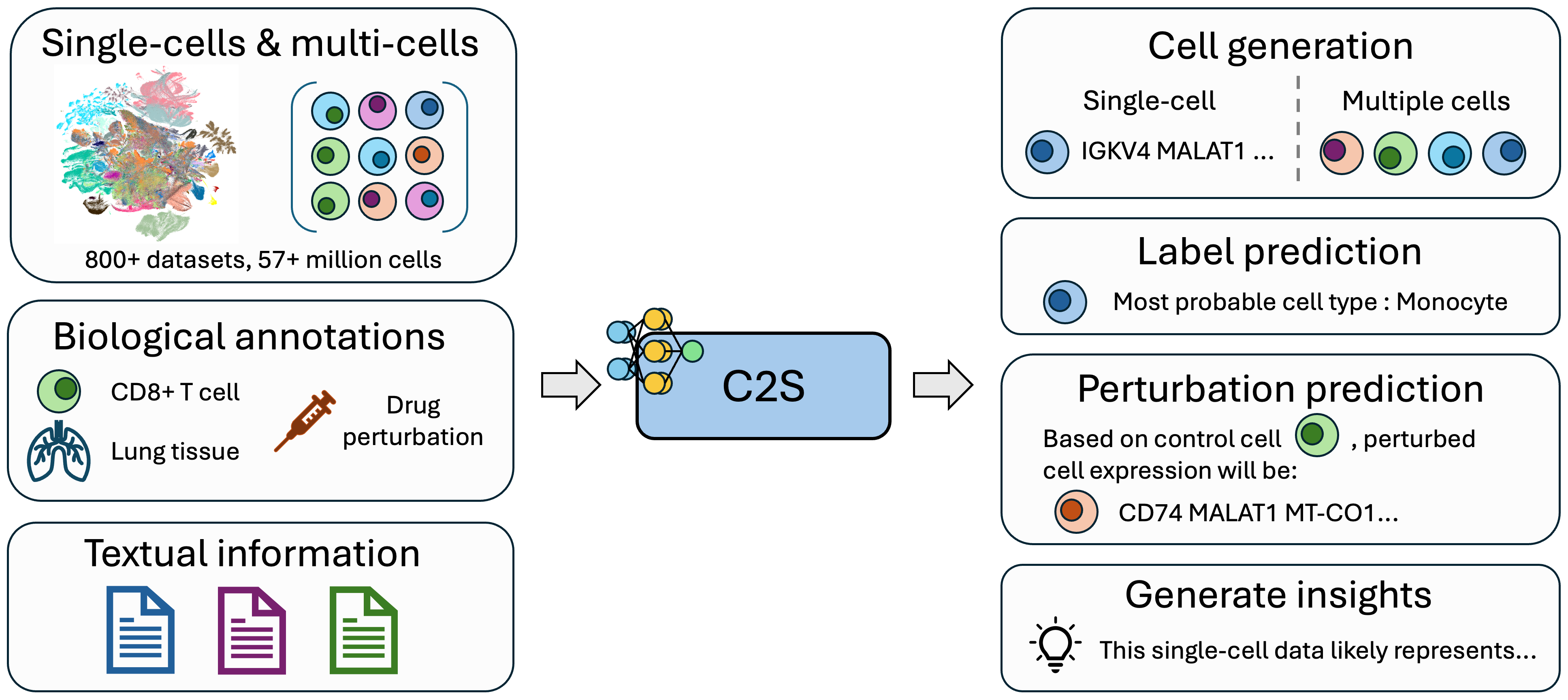 cell2sentence workflow image