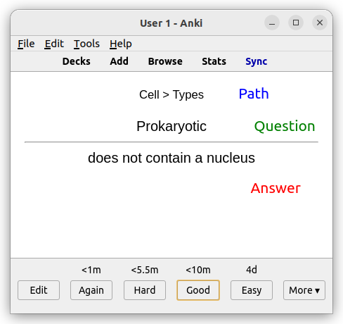 Anki review