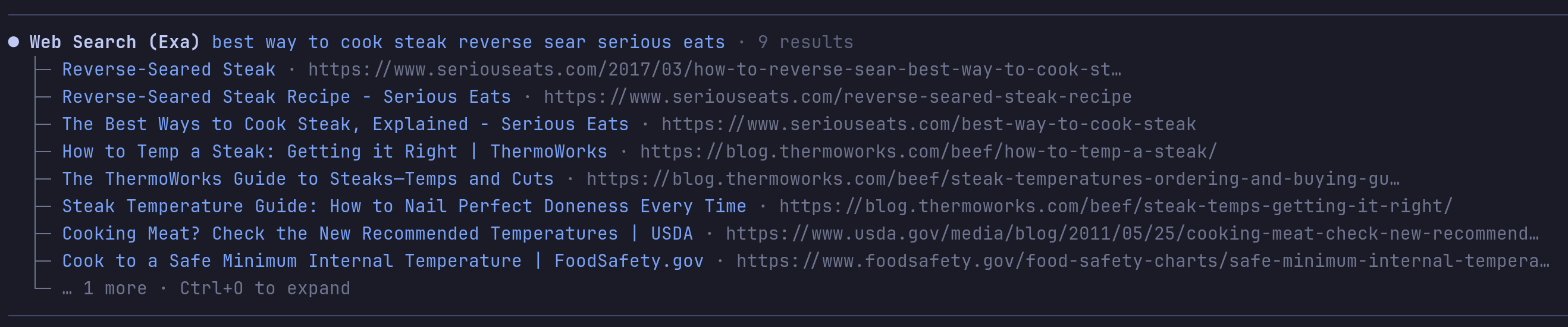 Exa web_search results renderer