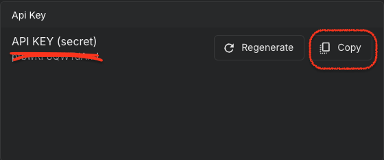 copy api key