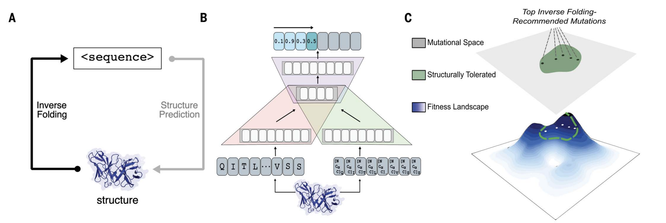 structural-evolution-overview