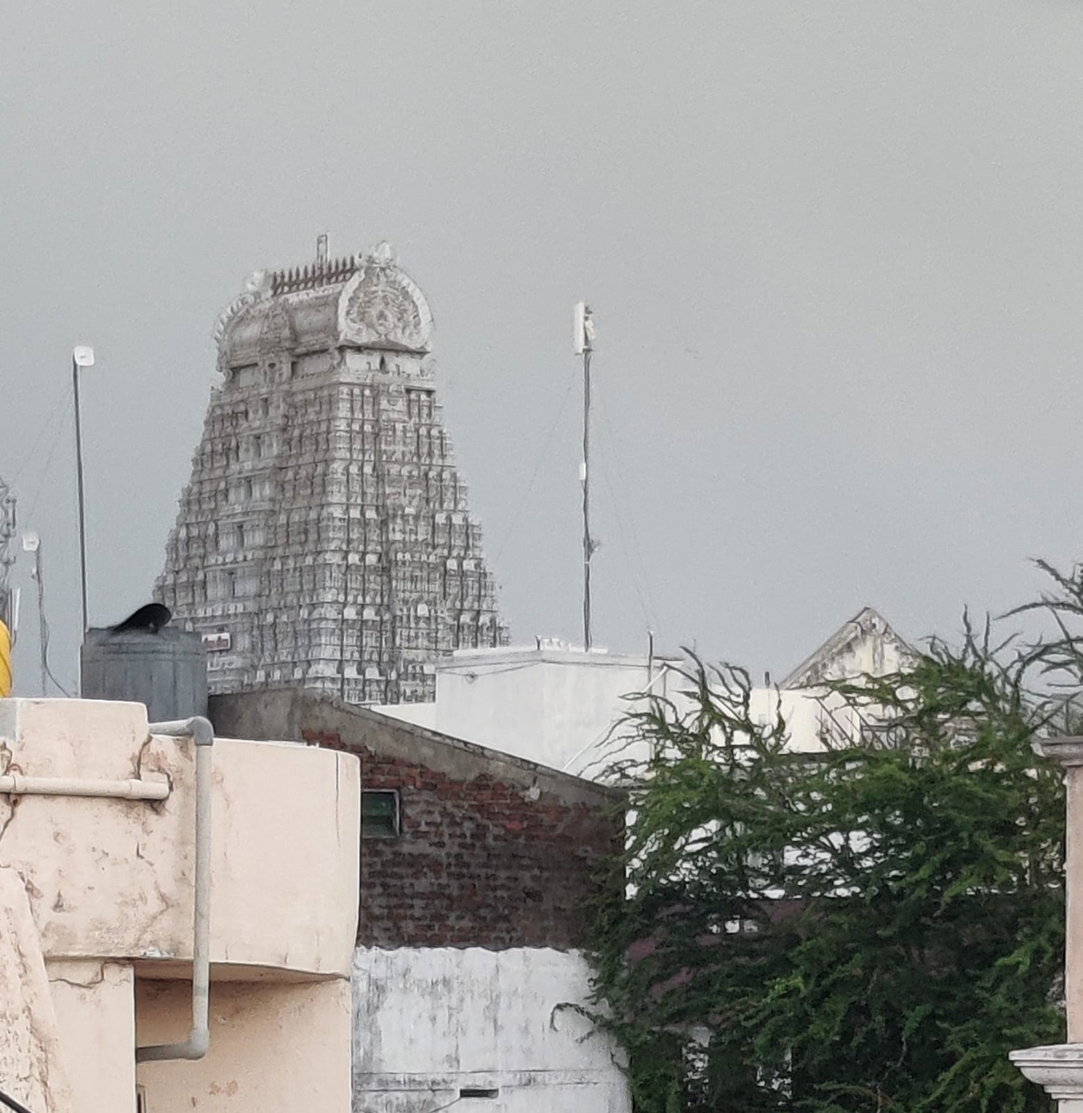 Luxurious interior of the homestay