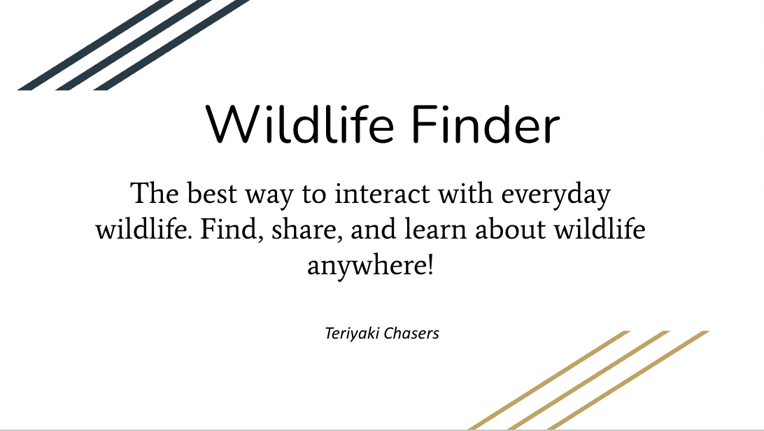 Wildlife Finder