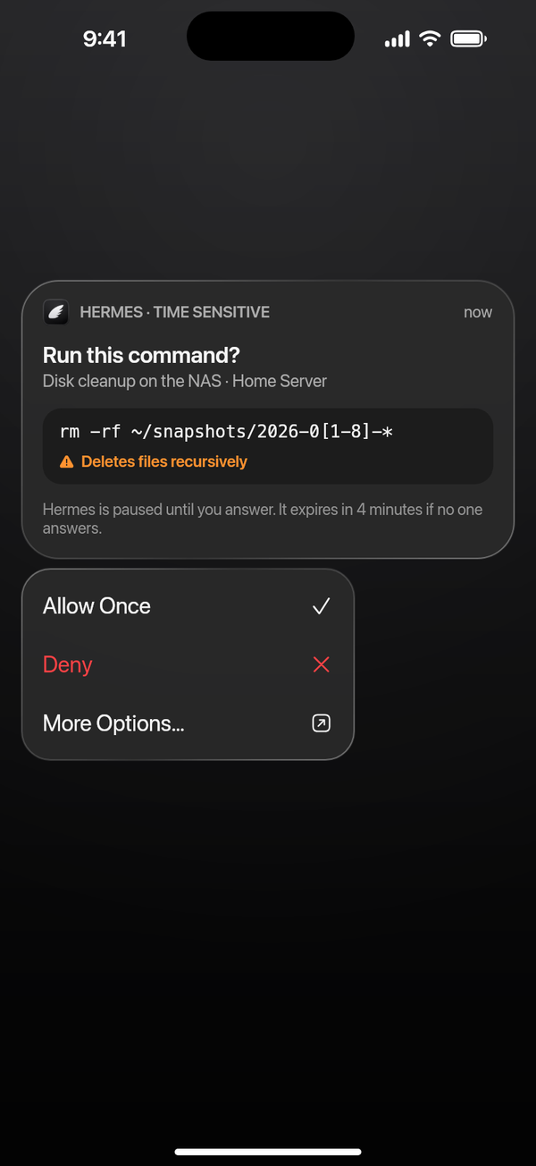 A Time Sensitive notification asking to run rm -rf on old snapshots, with Allow Once, Deny and More Options