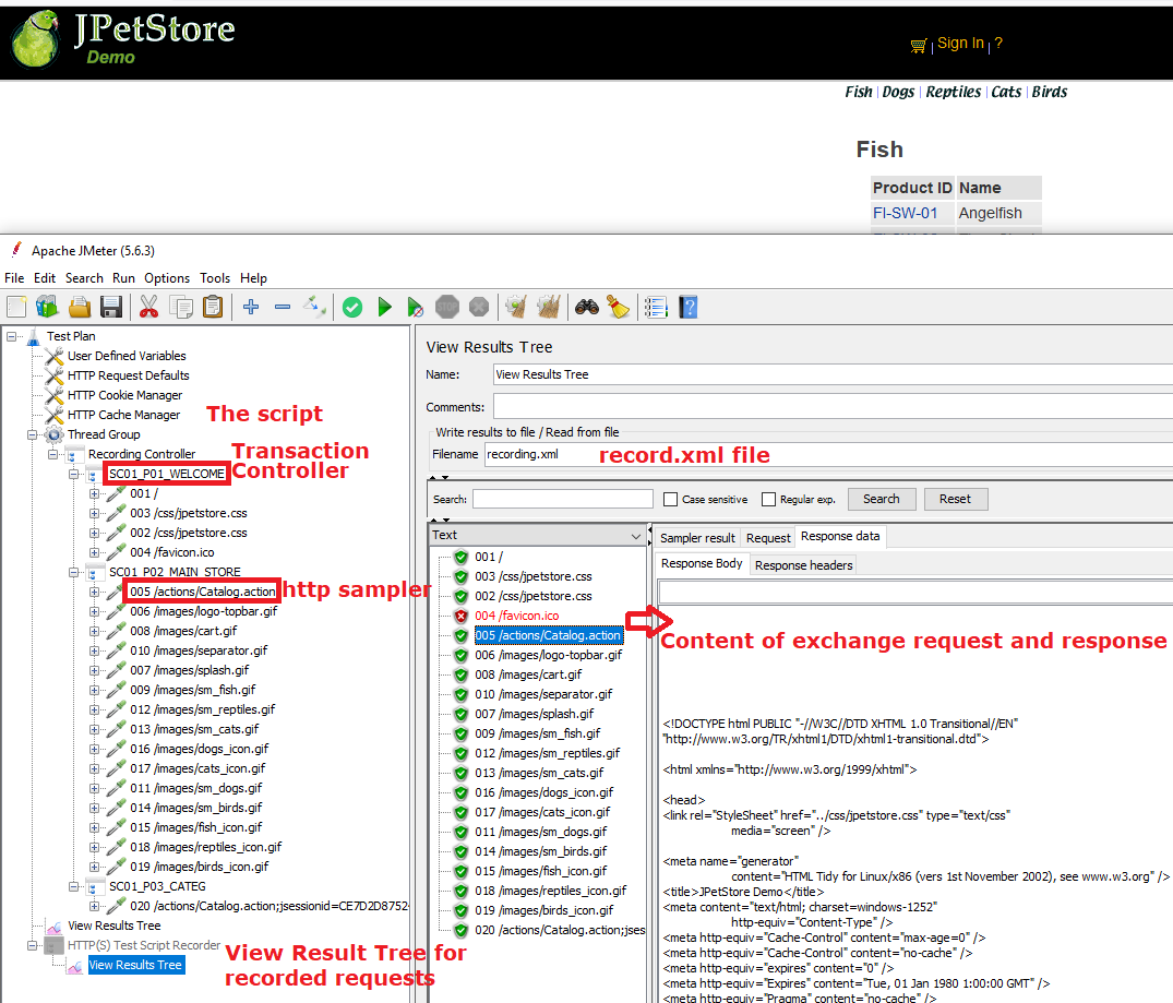 JMeter script and record