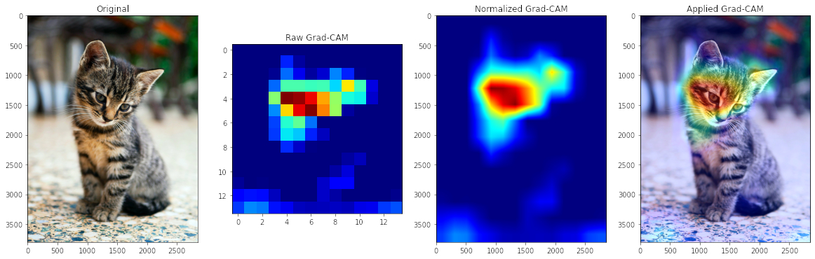 ex_TF_cat_heat_map