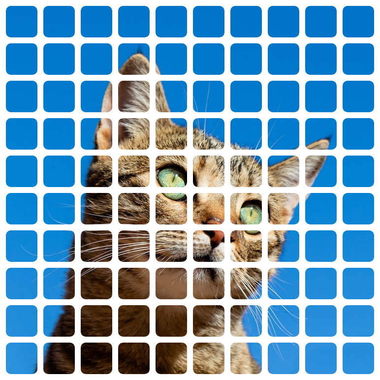 Picture of cat with a white grid overlay generated by gridify.it