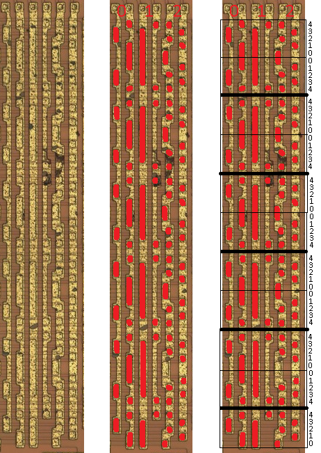 y axis