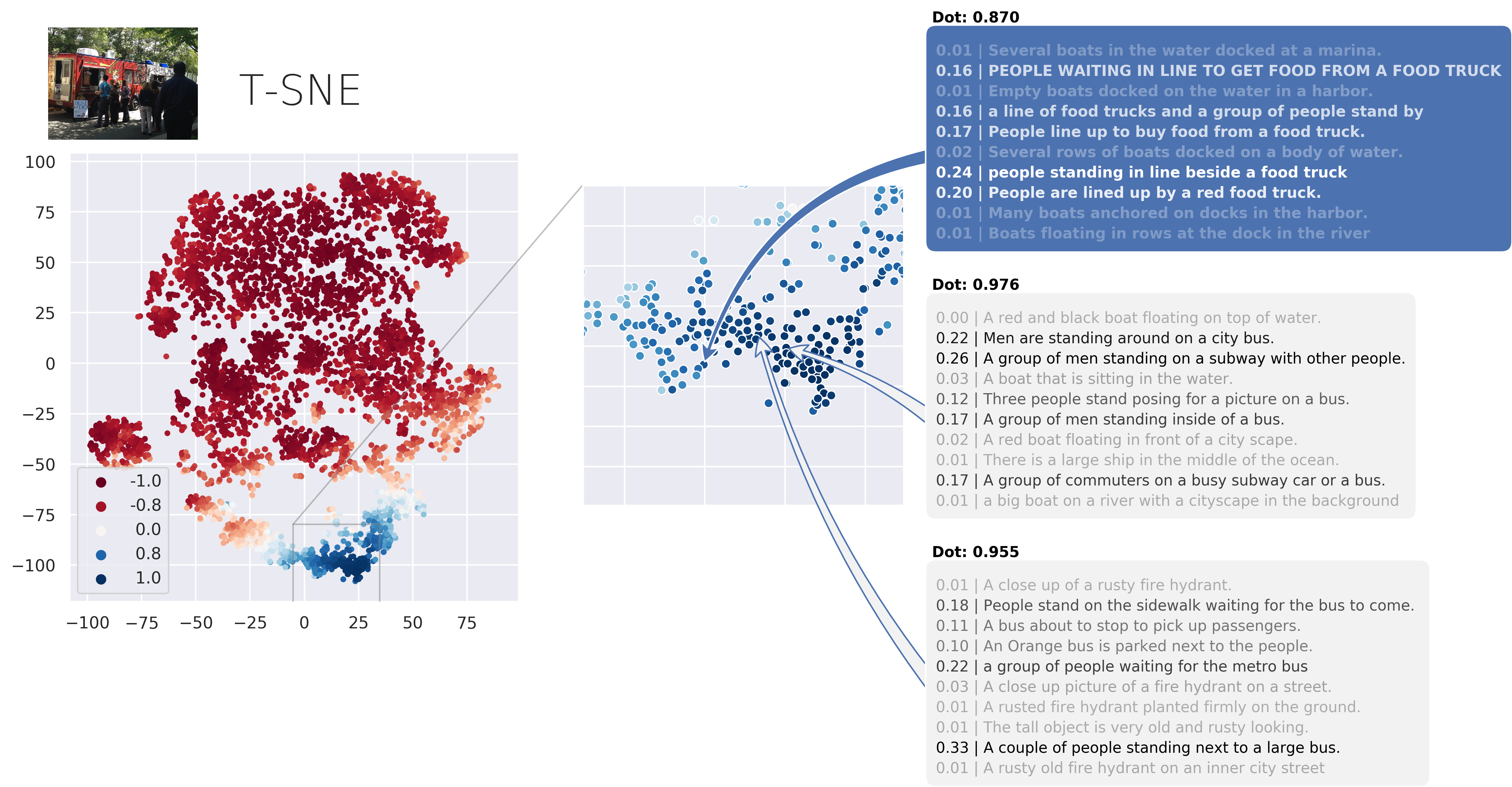 t-SNE Visualization