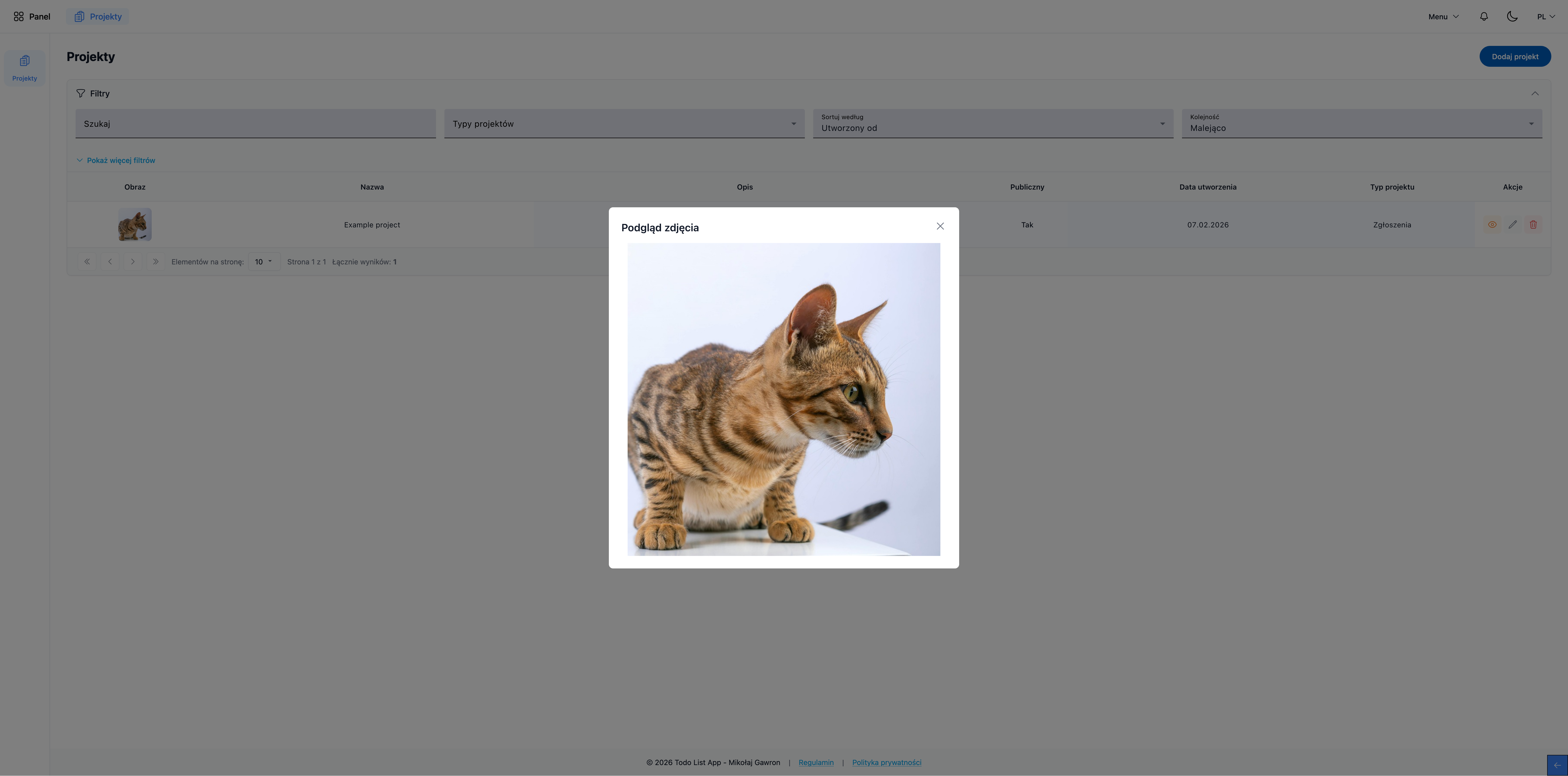 Project View