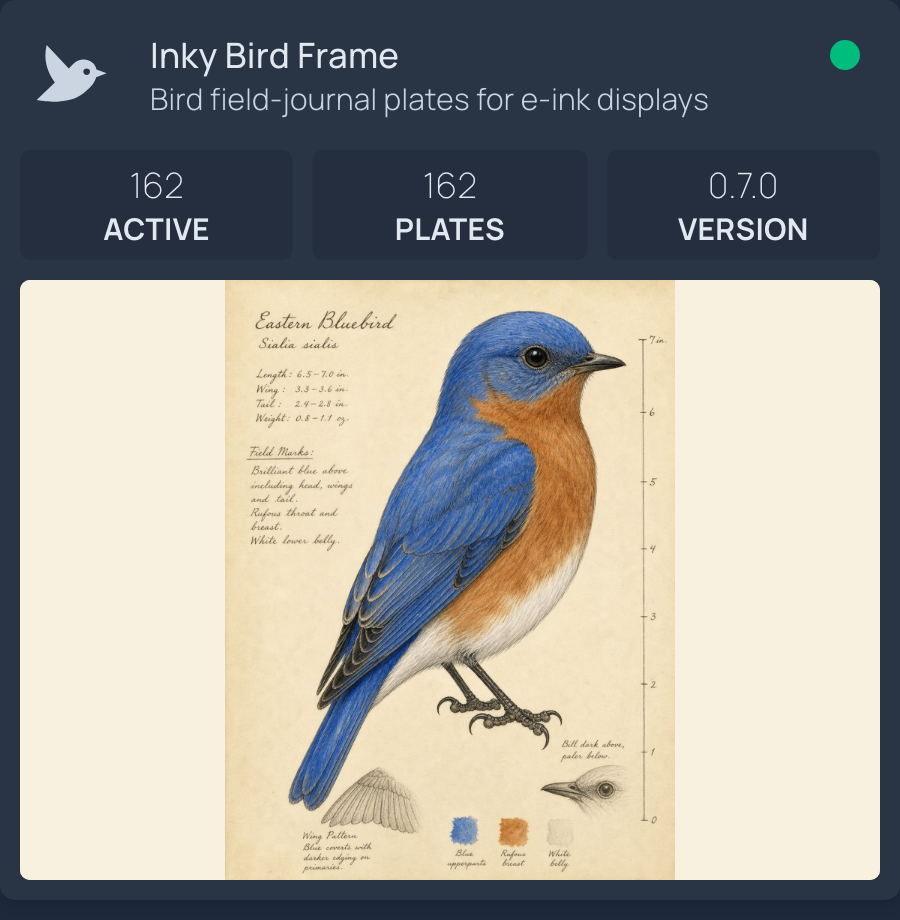 Homepage service card for Inky Bird Frame showing catalog stats above an upright featured Eastern Bluebird plate