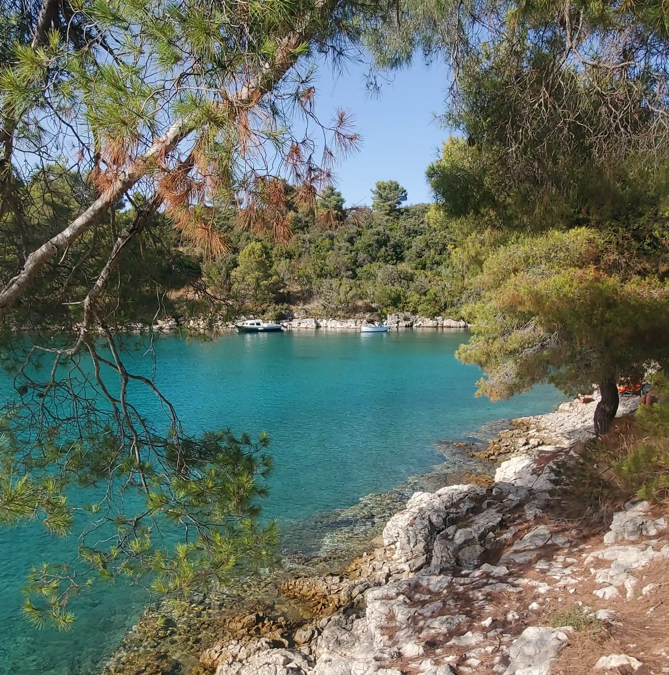 Murata Viva! La leggenda di Lucrezia di Brač. Stari Grad, Hvar, Croazia.. Foto di viaggio1x5.