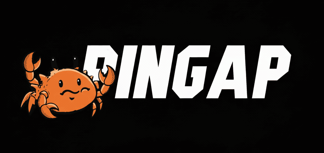 Pingap Logo