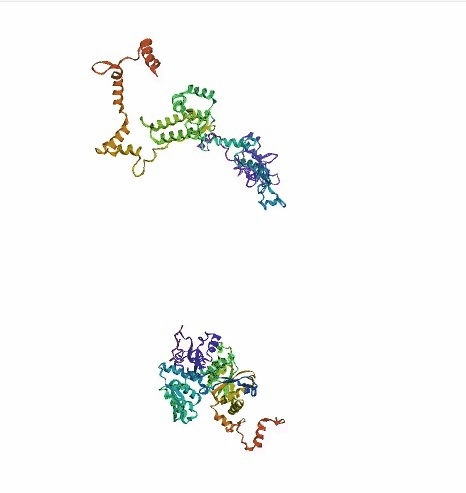 protein Structure Prediction