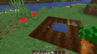 crops