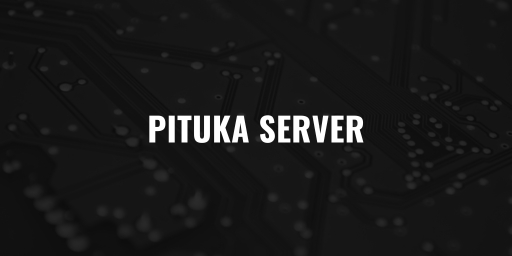 Баннер сервера MX Rust Server Pituka