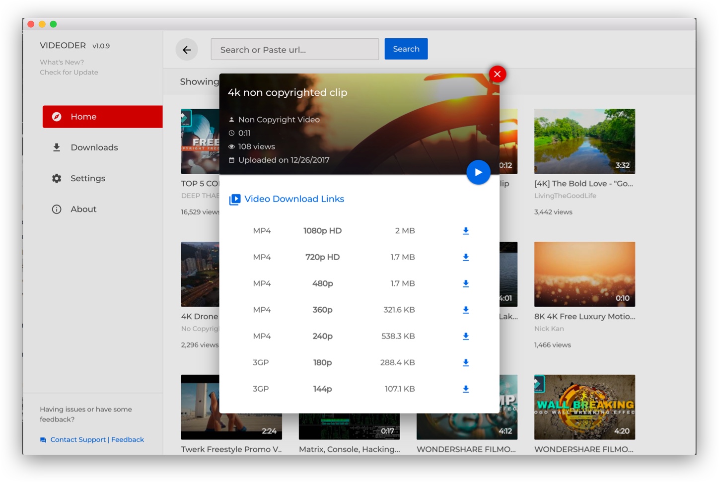 Youtube downloader app for pc