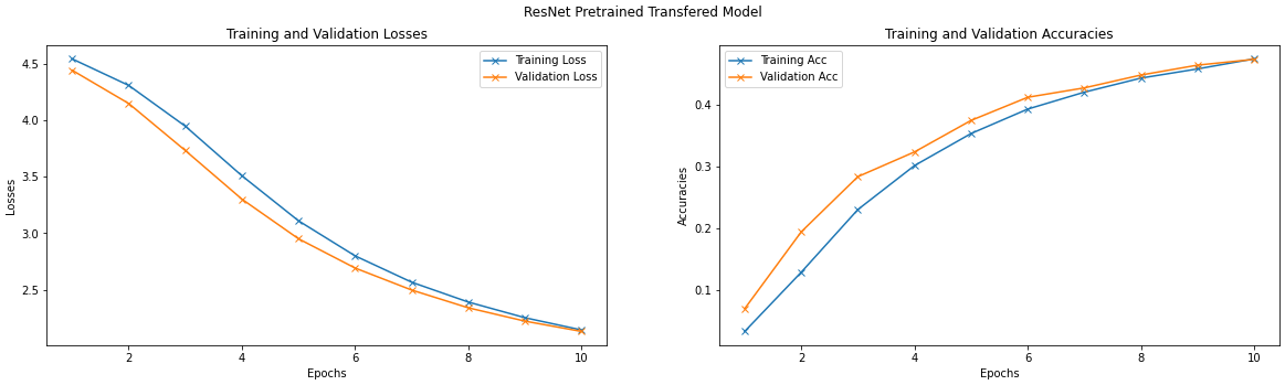 ResNet Pretrained Loss-Accuracy Plot