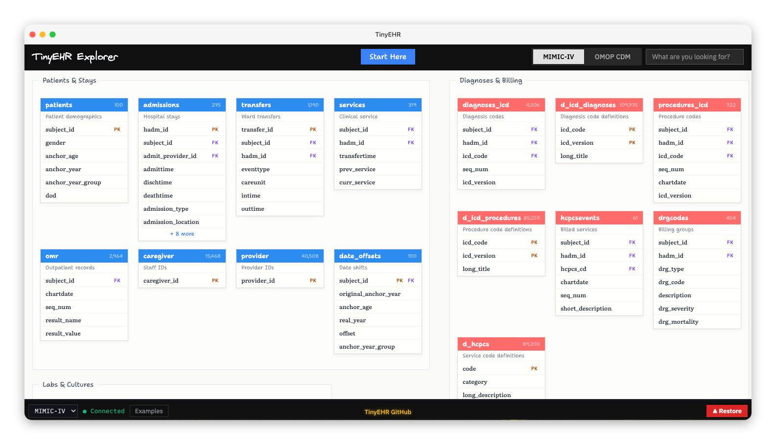 TinyEHR Schema Explorer