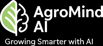 Colorful Garden Plants