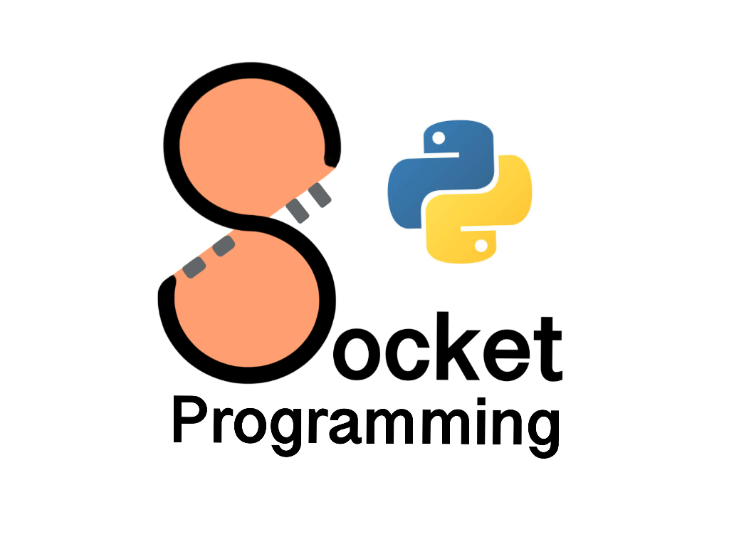 Python socket