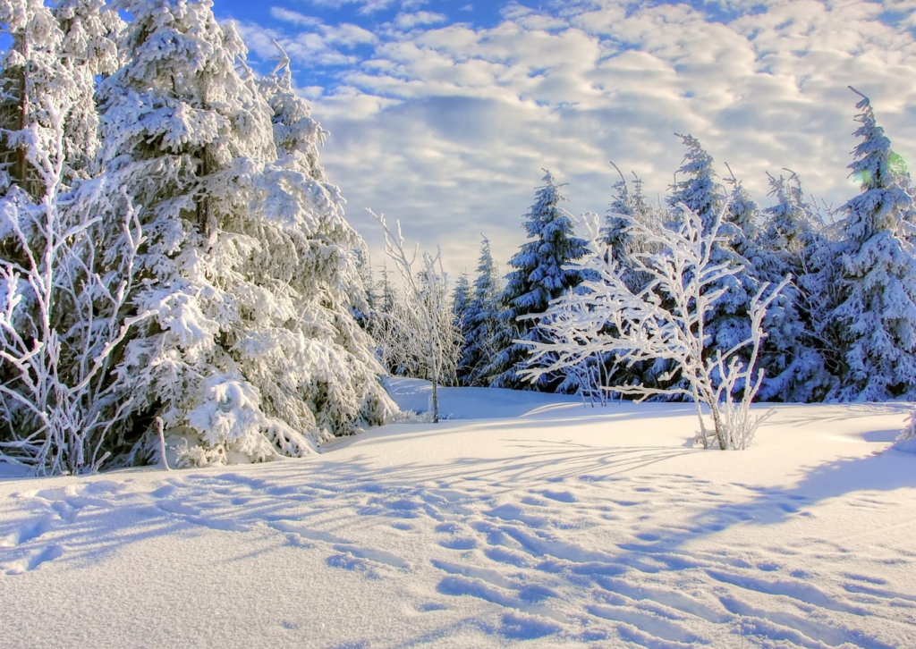 Вторая иллюстрация