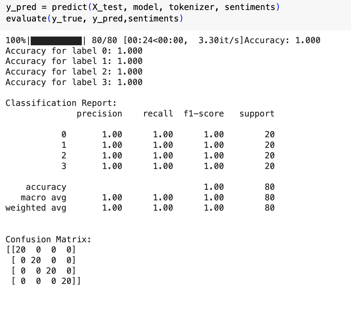 Accuracy After Fine-Tuning