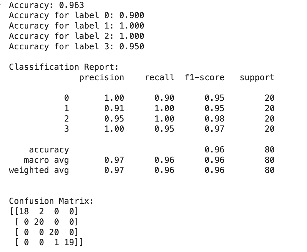 Accuracy Before Fine-Tuning