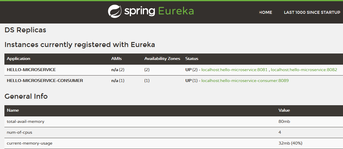 eureka-registry-server-screenshot