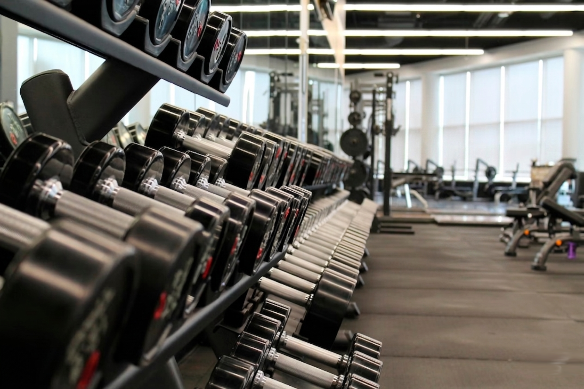 Sistema GymFit Pro