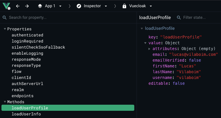 Vue devtools support