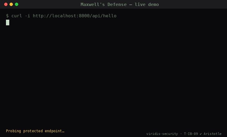 Maxwell demo