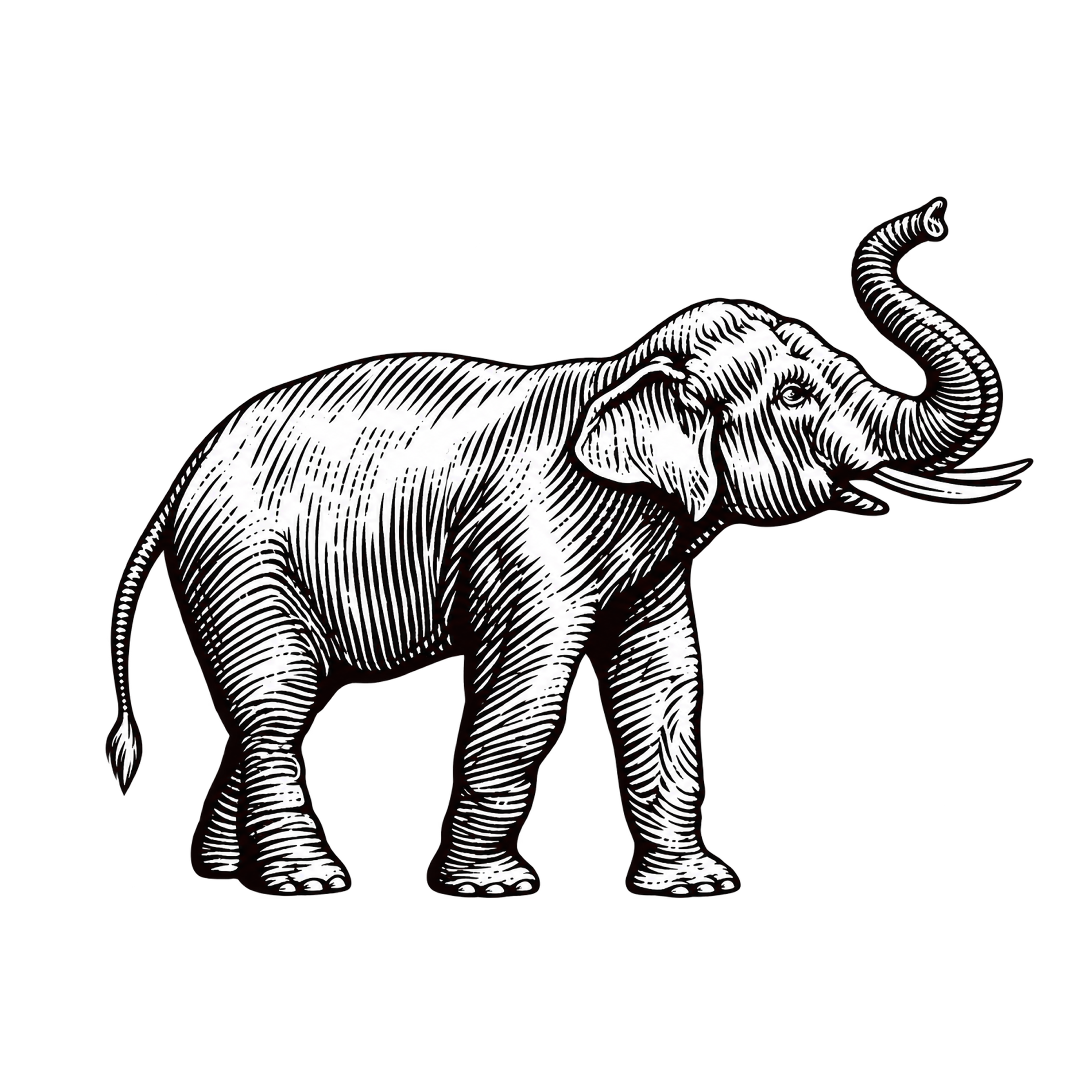 Elephant, the coding agent that never forgets