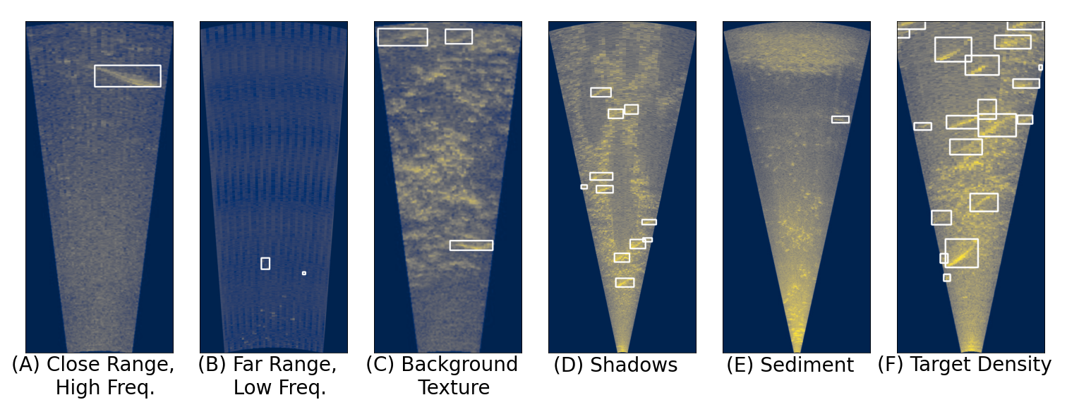 Example frames from the Fish Counting dataset indicating various challenges.