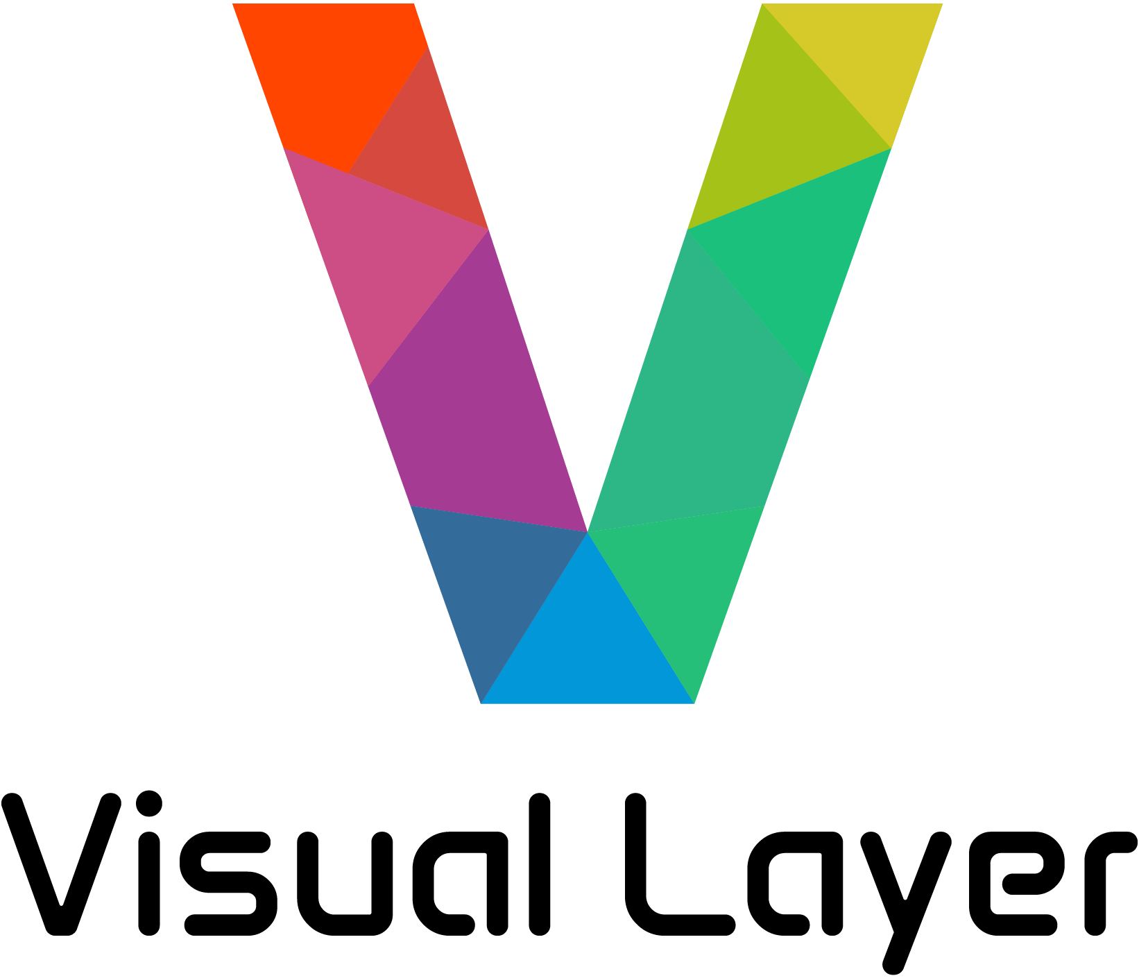 Visual Layer logo.